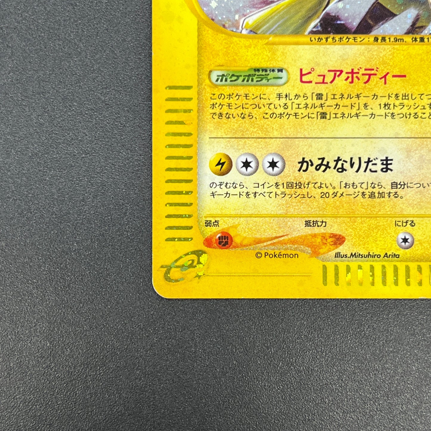 Raikou 039/088 e Skyridge Holo Japanese Pokemon Card