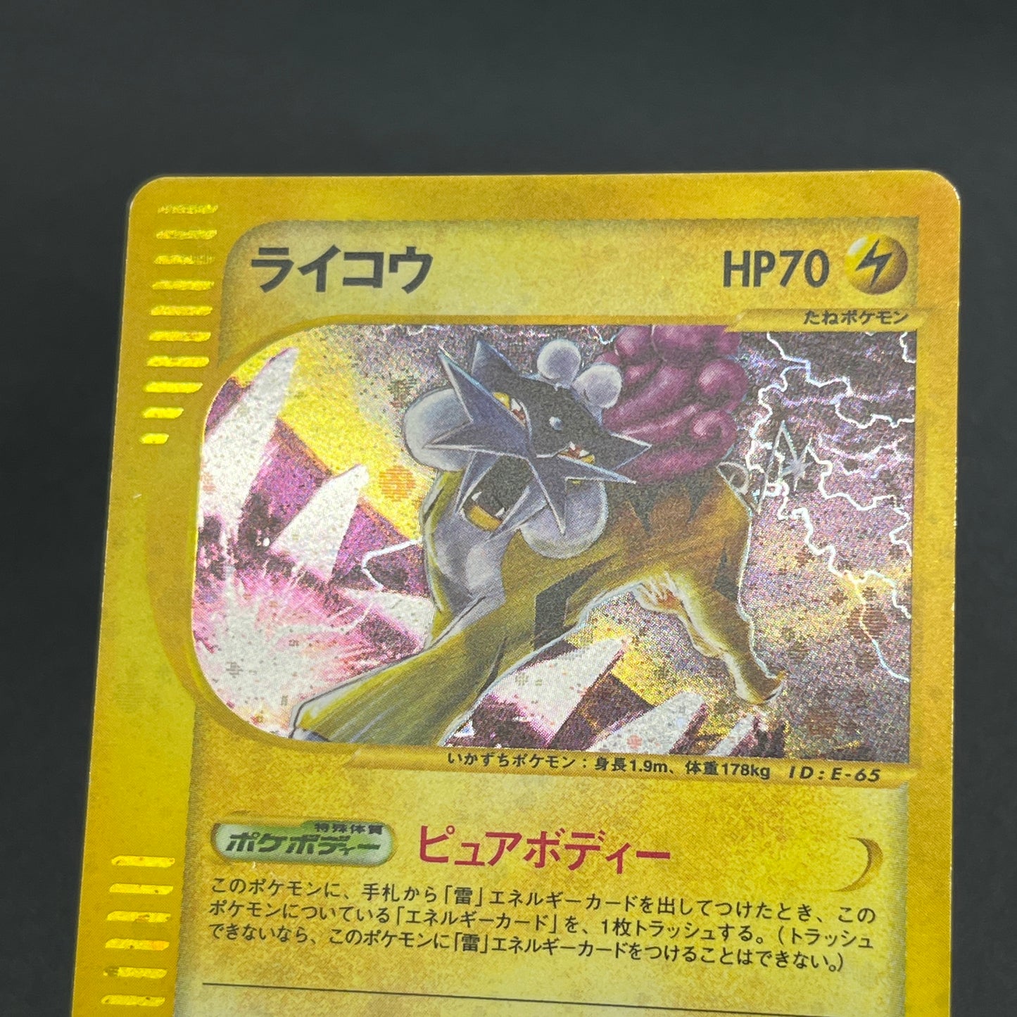 Raikou 039/088 e Skyridge Holo Japanese Pokemon Card