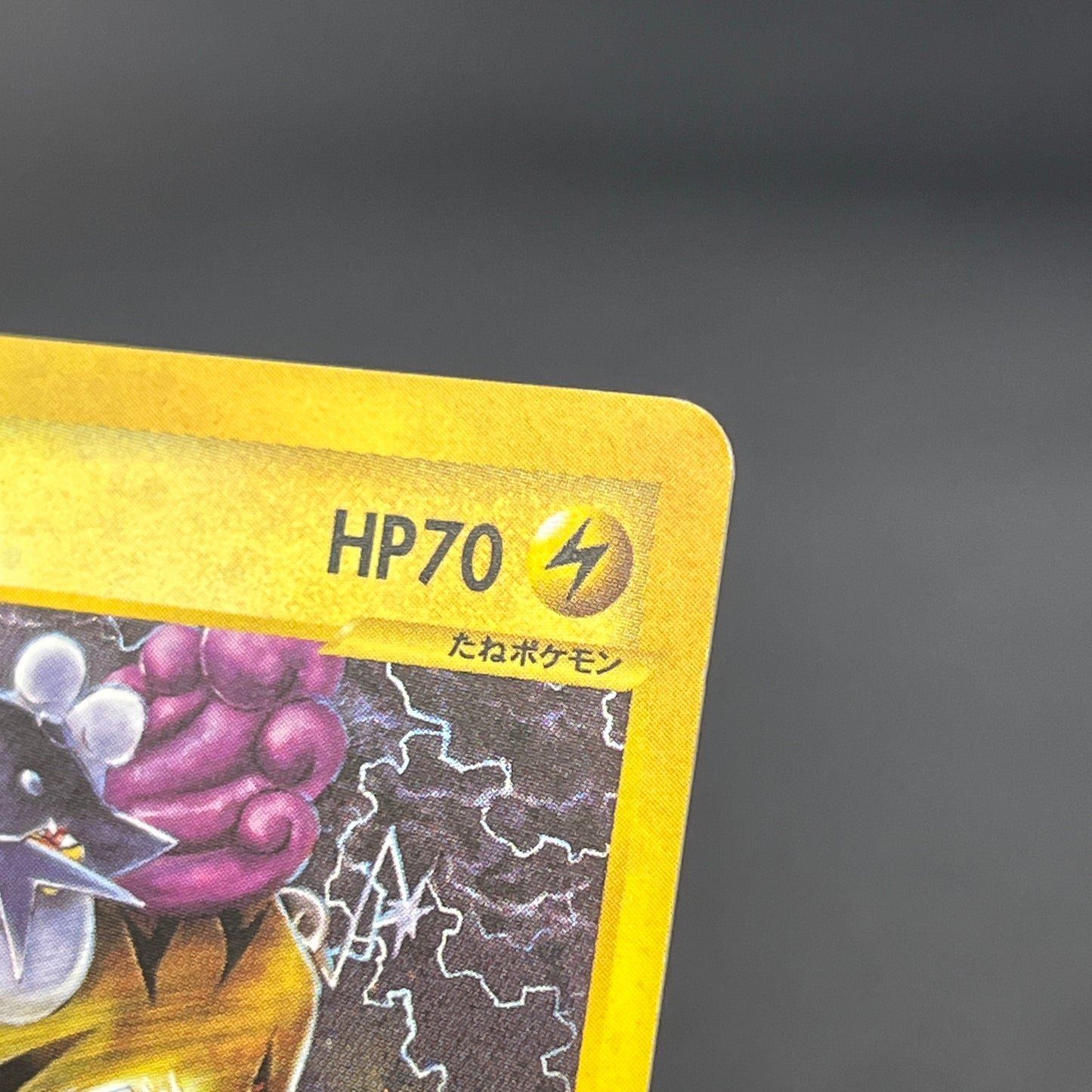 Raikou 039/088 e Skyridge Holo Japanese Pokemon Card