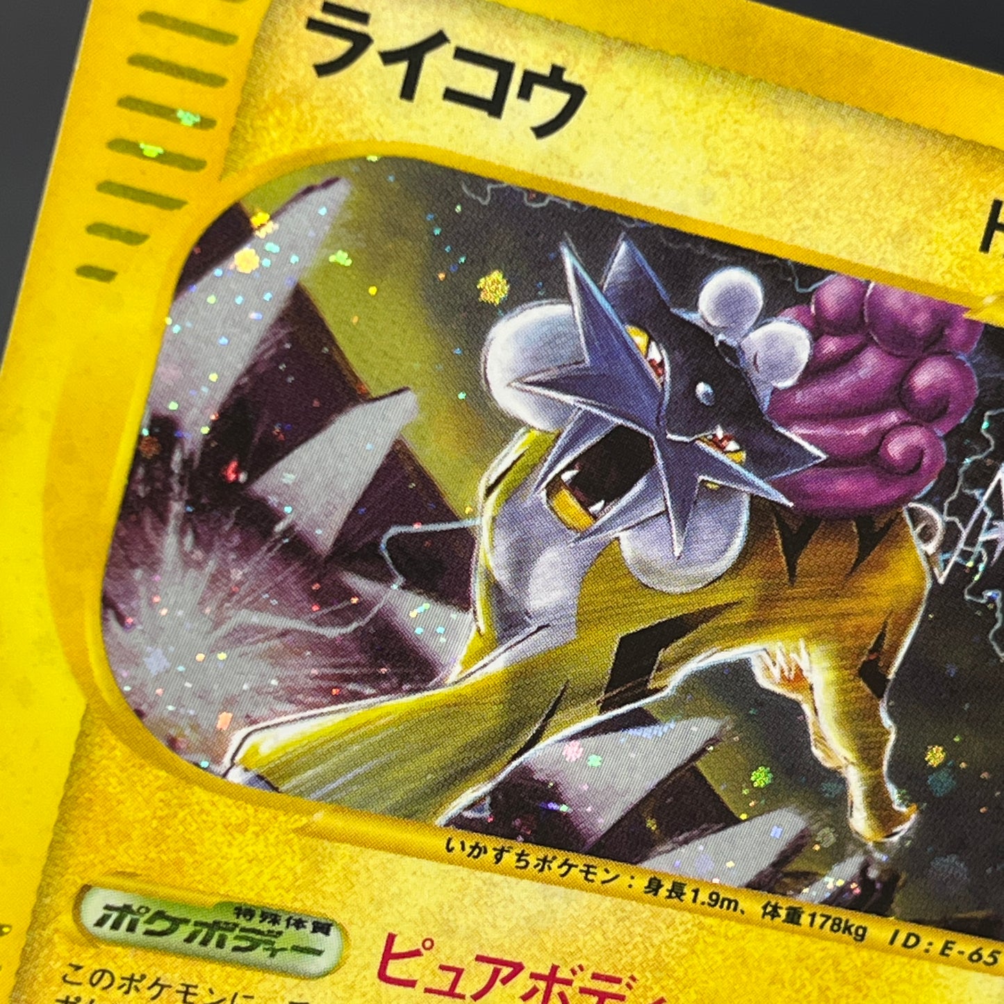 Raikou 039/088 e Skyridge Holo Japanese Pokemon Card