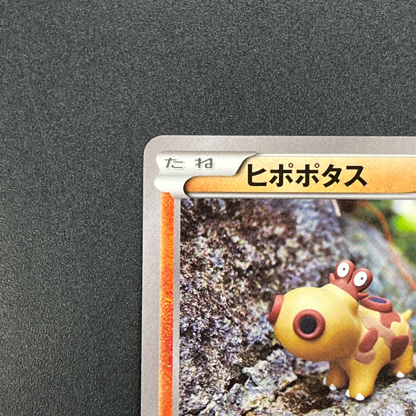 Hippopotas 159/XY-P Promo Center Japanese Pokemon Card