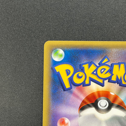Hippopotas 159/XY-P Promo Center Japanese Pokemon Card