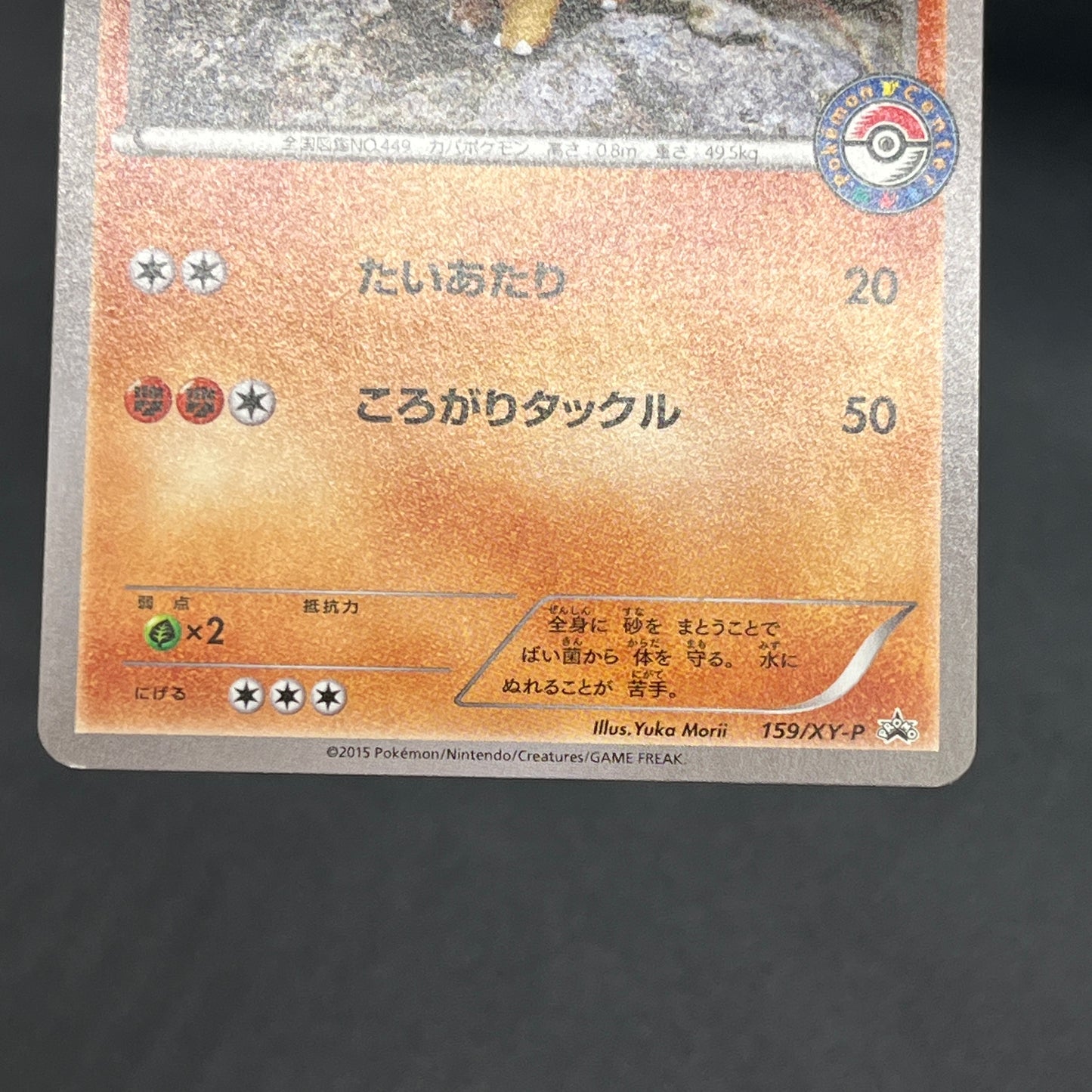 Hippopotas 159/XY-P Promo Center Japanese Pokemon Card