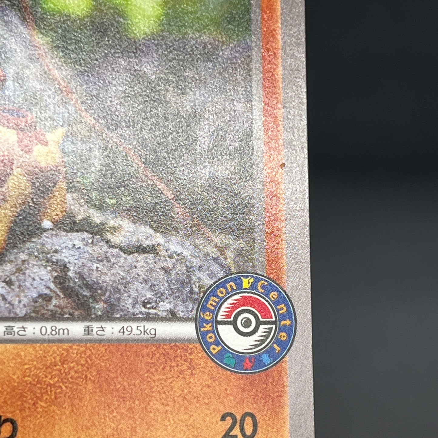 Hippopotas 159/XY-P Promo Center Japanese Pokemon Card