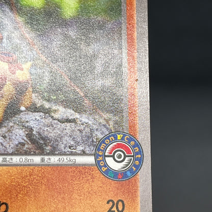 Hippopotas 159/XY-P Promo Center Japanese Pokemon Card