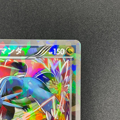 Salamence 195/BW-P Promo V Jump Magazine 2012 Pokémon Card