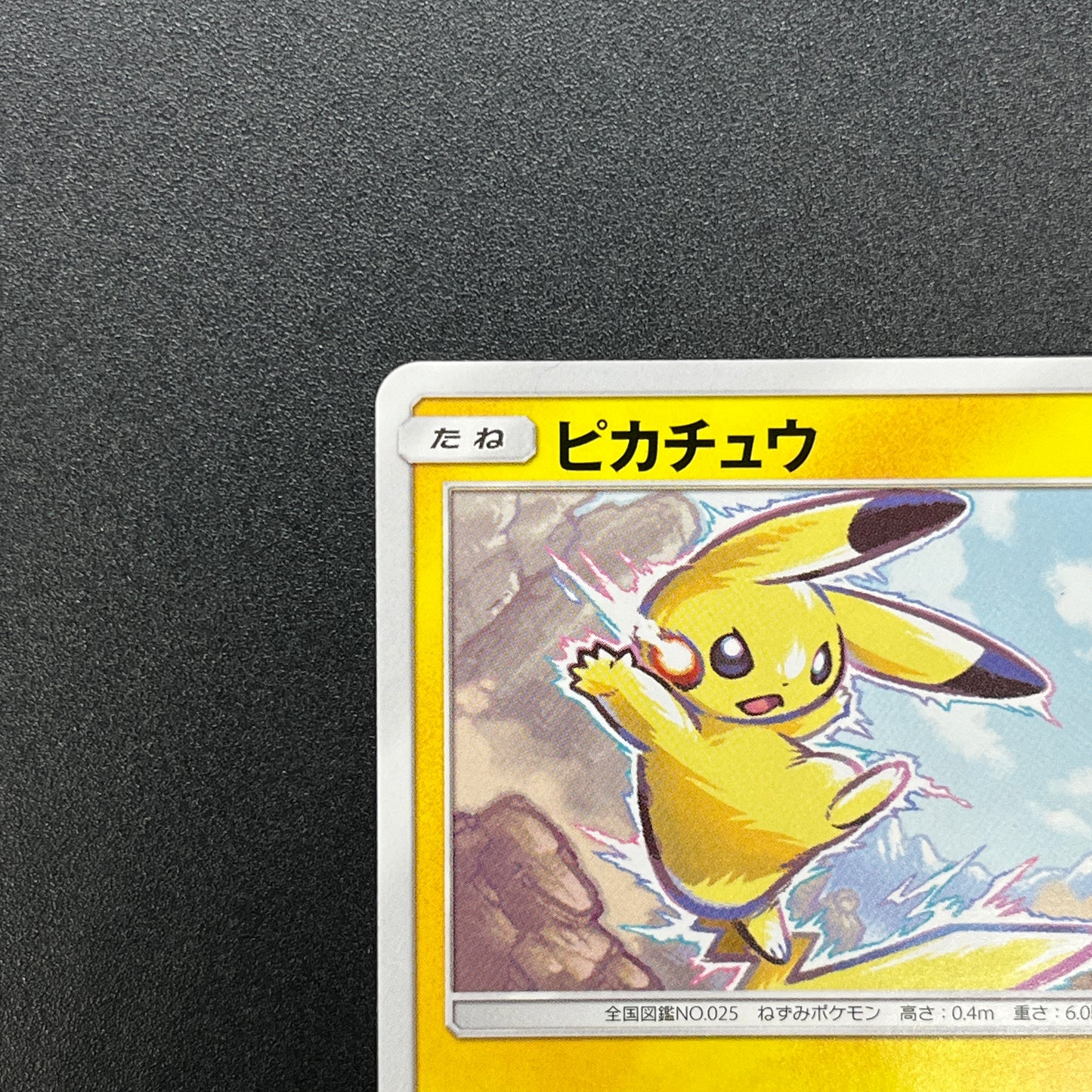 Pikachu 214/SM-P Promo Card Gym pack Japanese Pokemon Card