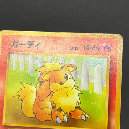 Growlithe Arcanine Intro Pack 2set Squirtle Deck Card