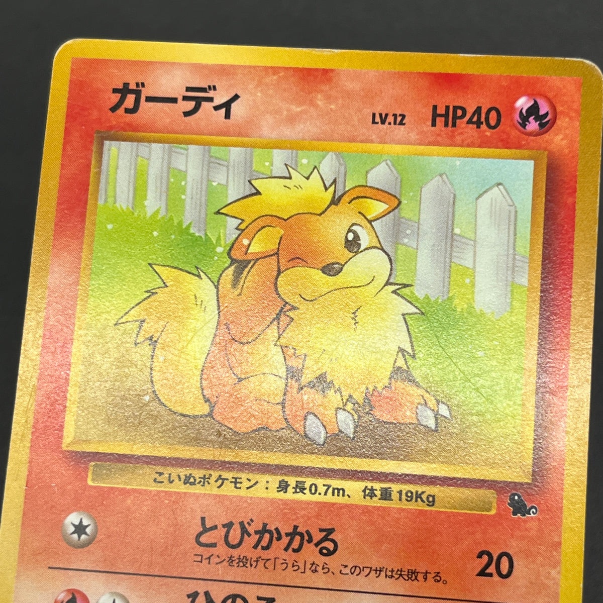Growlithe Arcanine Intro Pack 2set Squirtle Deck Card
