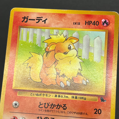 Growlithe Arcanine Intro Pack 2set Squirtle Deck Card