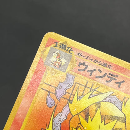 Growlithe Arcanine Intro Pack 2set Squirtle Deck Card