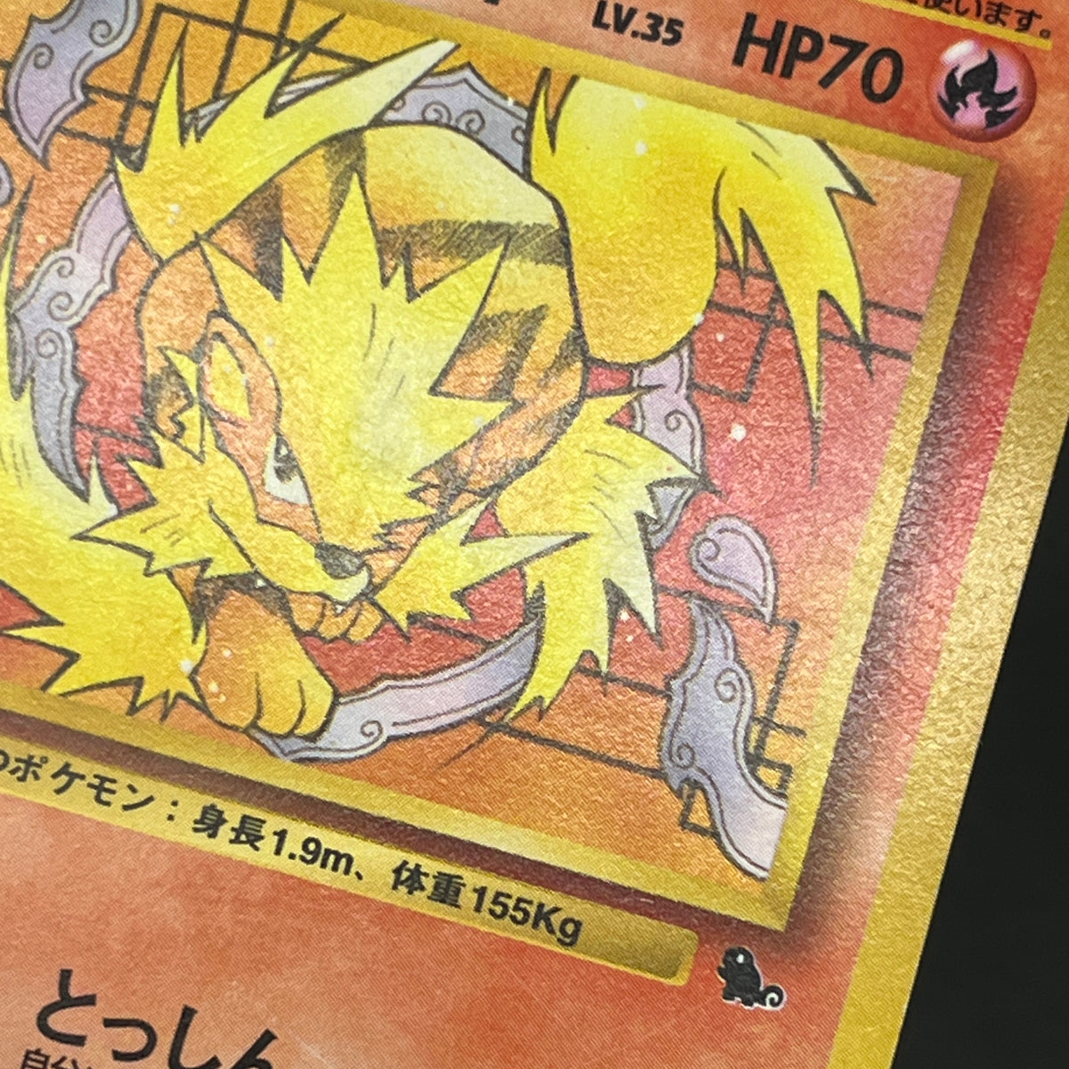 Growlithe Arcanine Intro Pack 2set Squirtle Deck Card