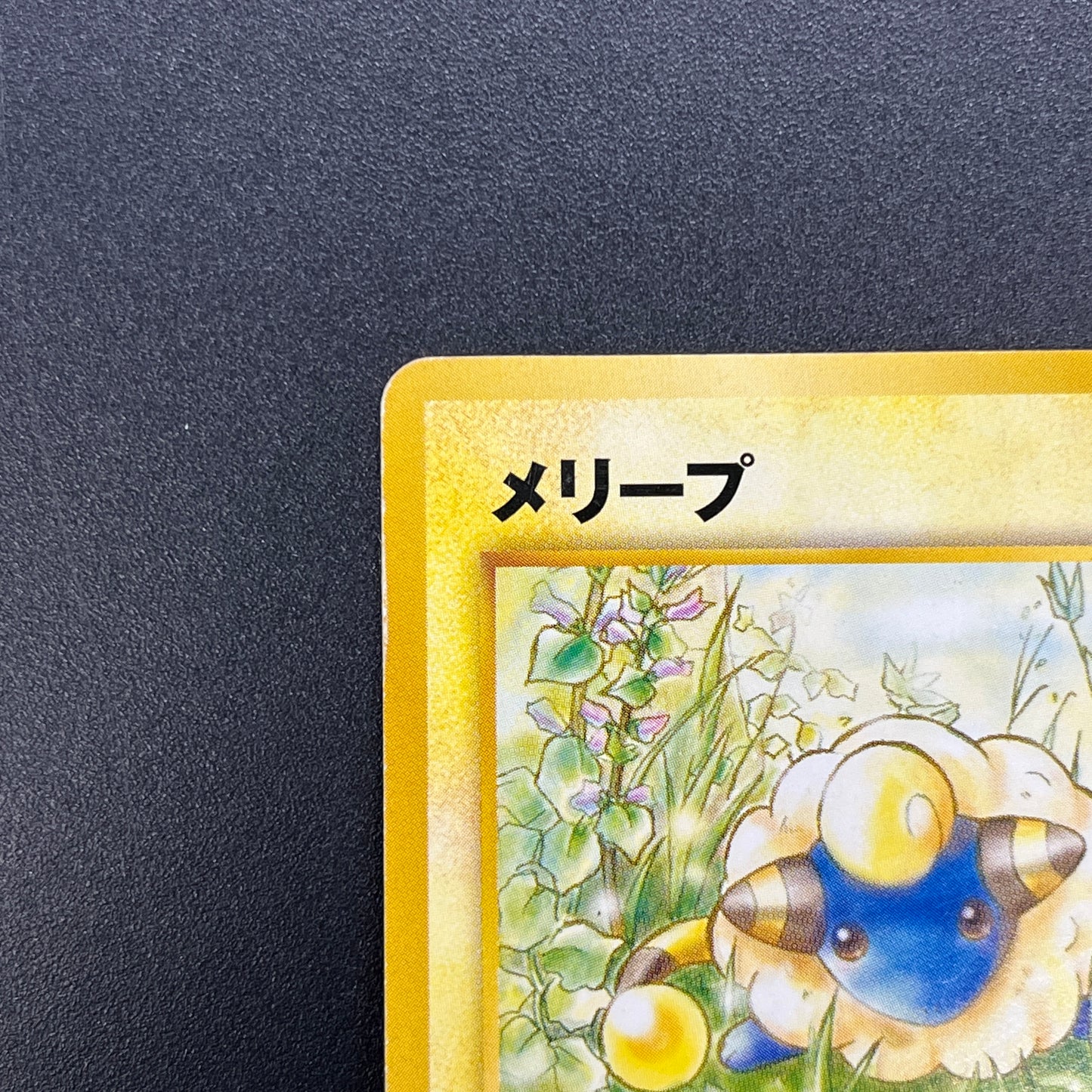 Mareep No. 179 Intro Pack Totodile Deck Pokémon Card