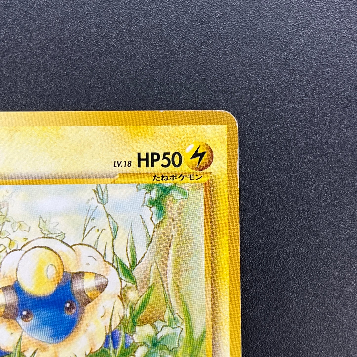 Mareep No. 179 Intro Pack Totodile Deck Pokémon Card