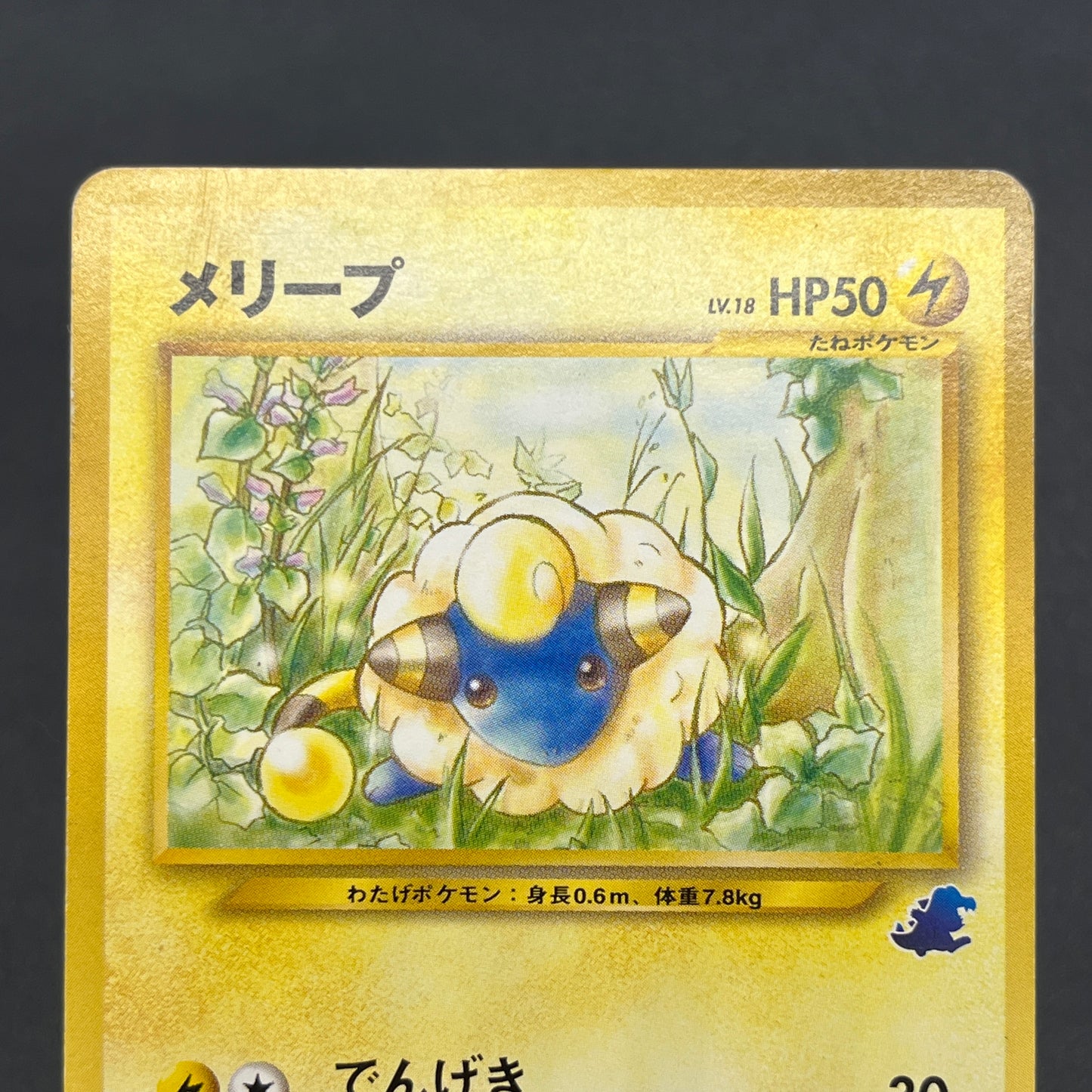 Mareep No. 179 Intro Pack Totodile Deck Pokémon Card