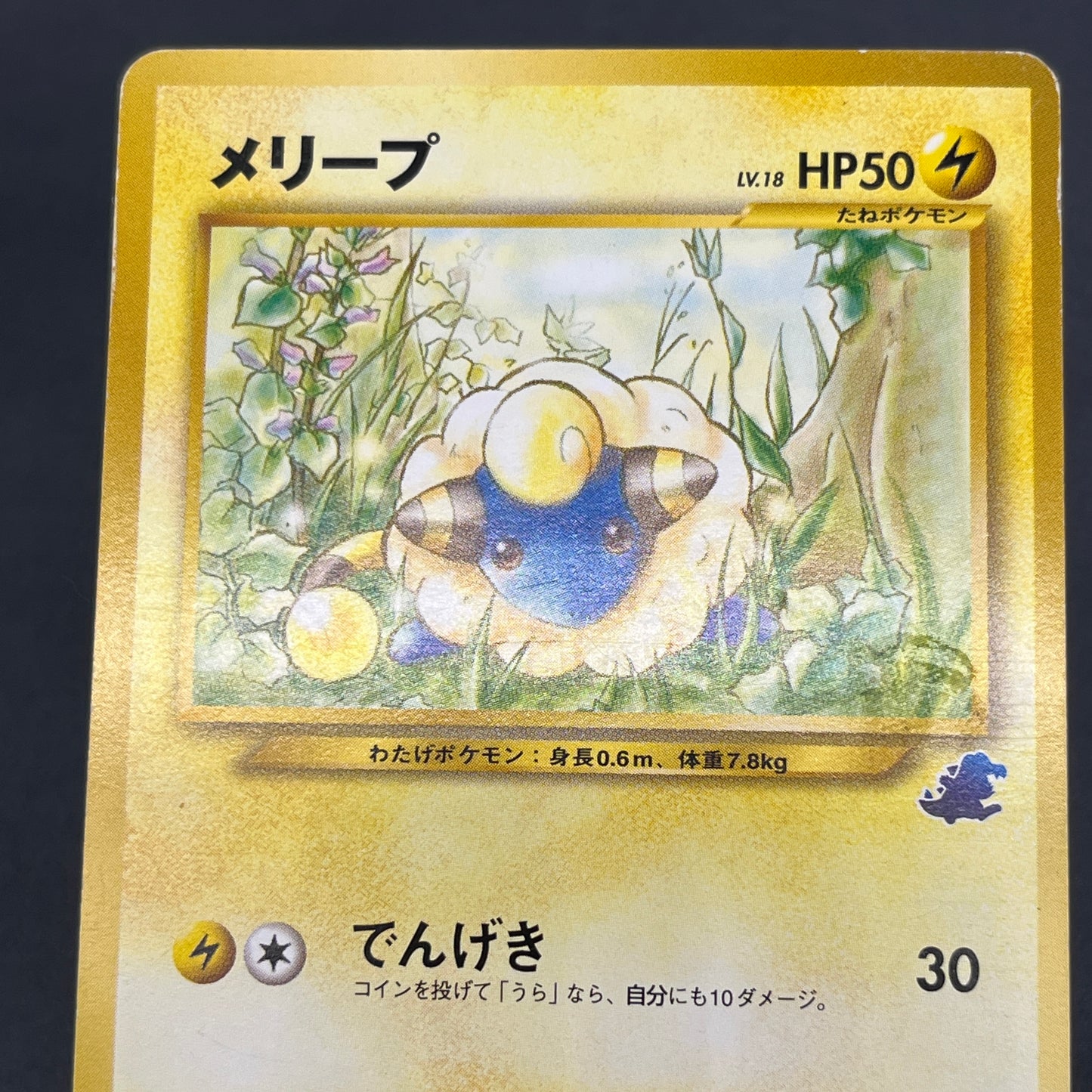 Mareep No. 179 Intro Pack Totodile Deck Pokémon Card