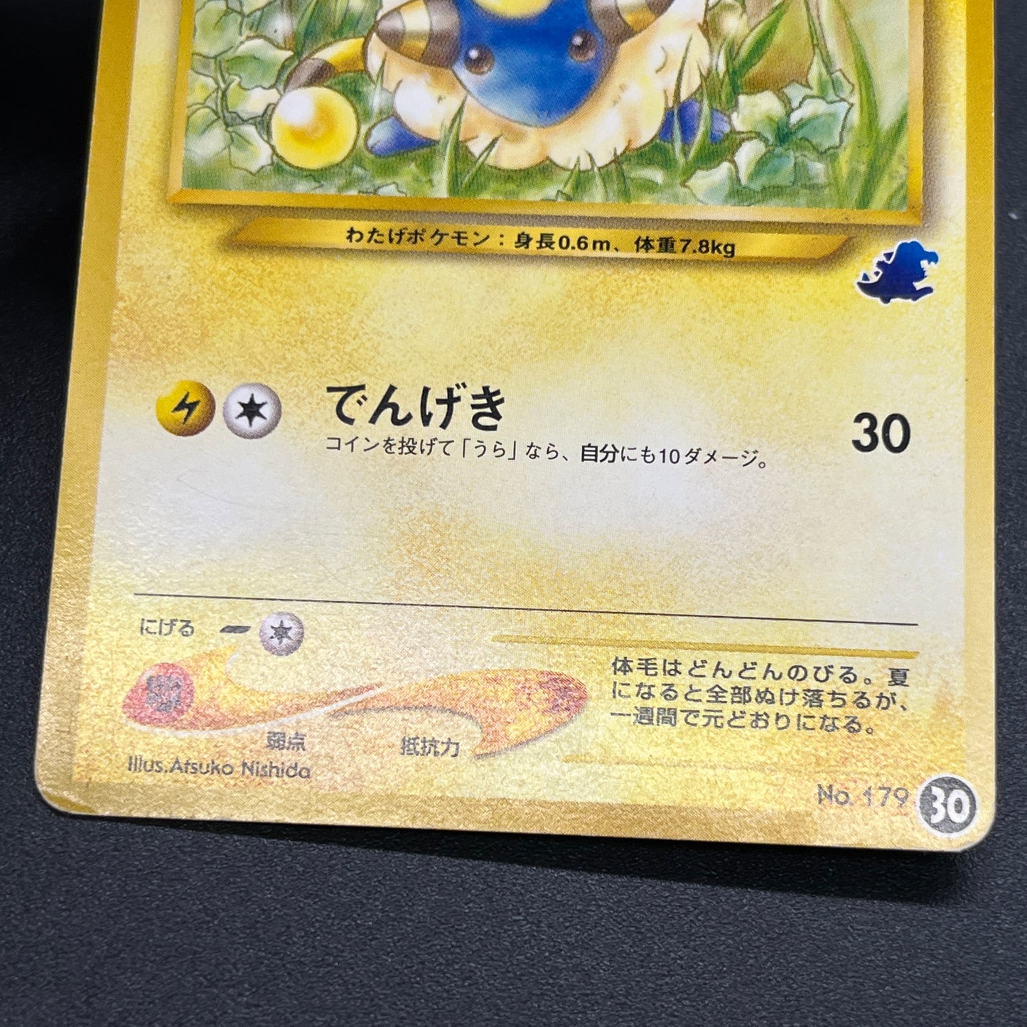 Mareep No. 179 Intro Pack Totodile Deck Pokémon Card