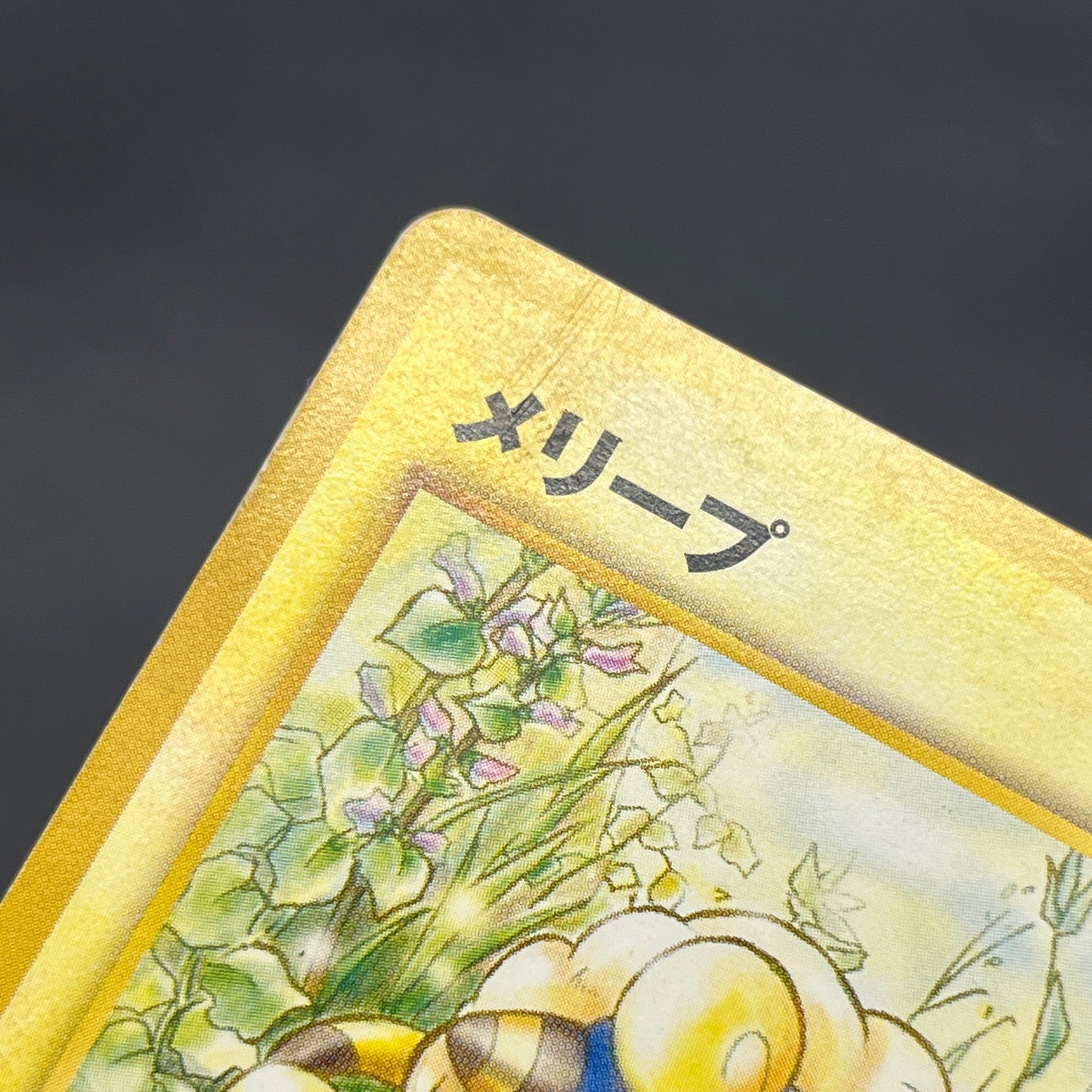 Mareep No. 179 Intro Pack Totodile Deck Pokémon Card