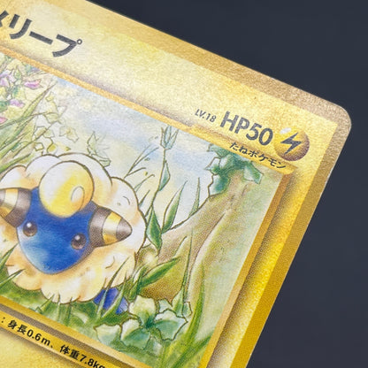 Mareep No. 179 Intro Pack Totodile Deck Pokémon Card